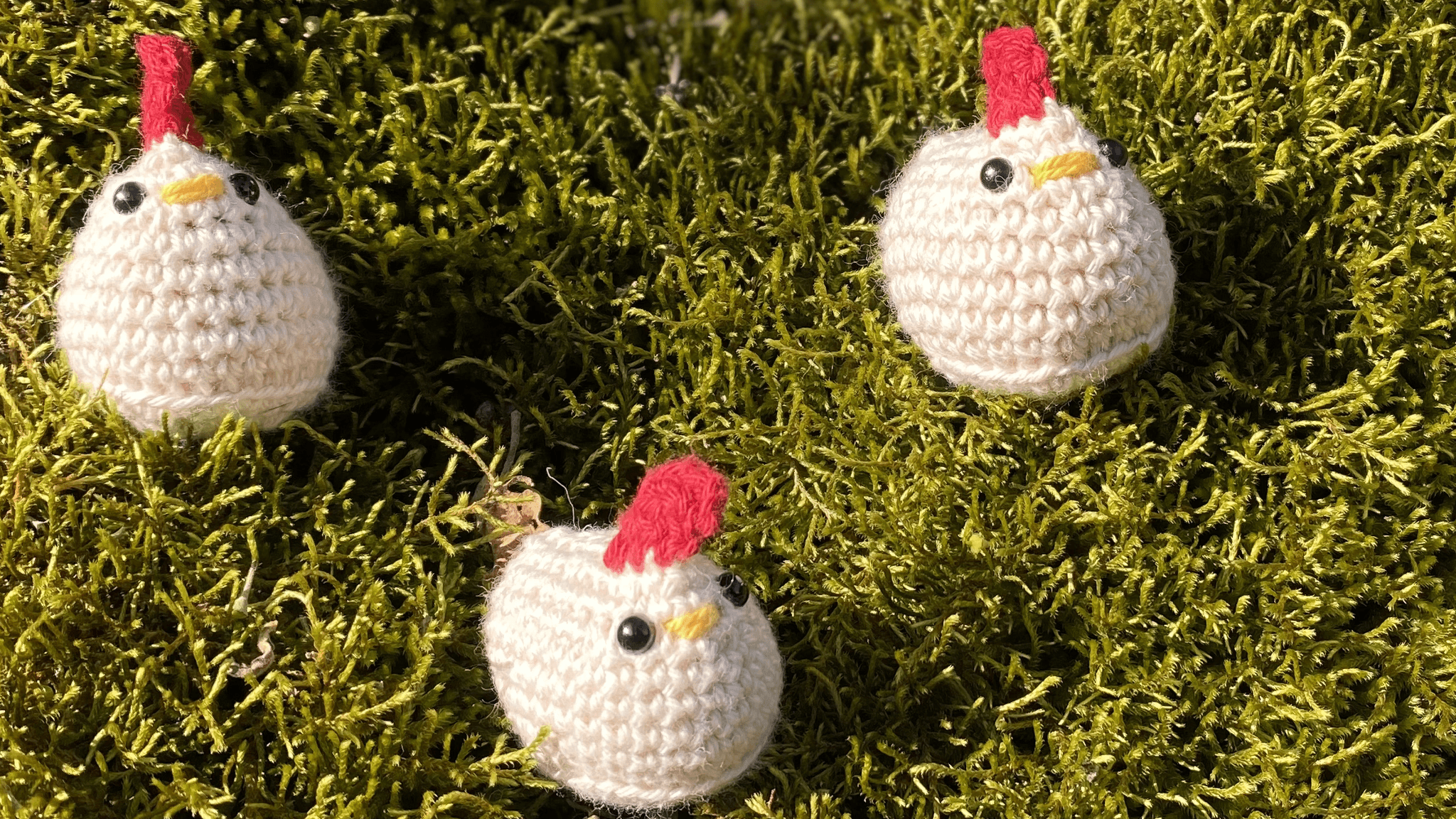 La poule