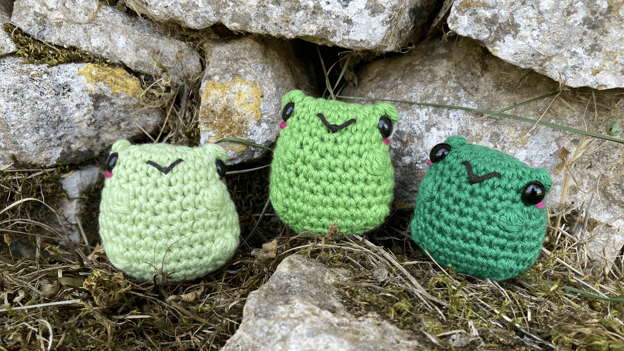 La grenouille