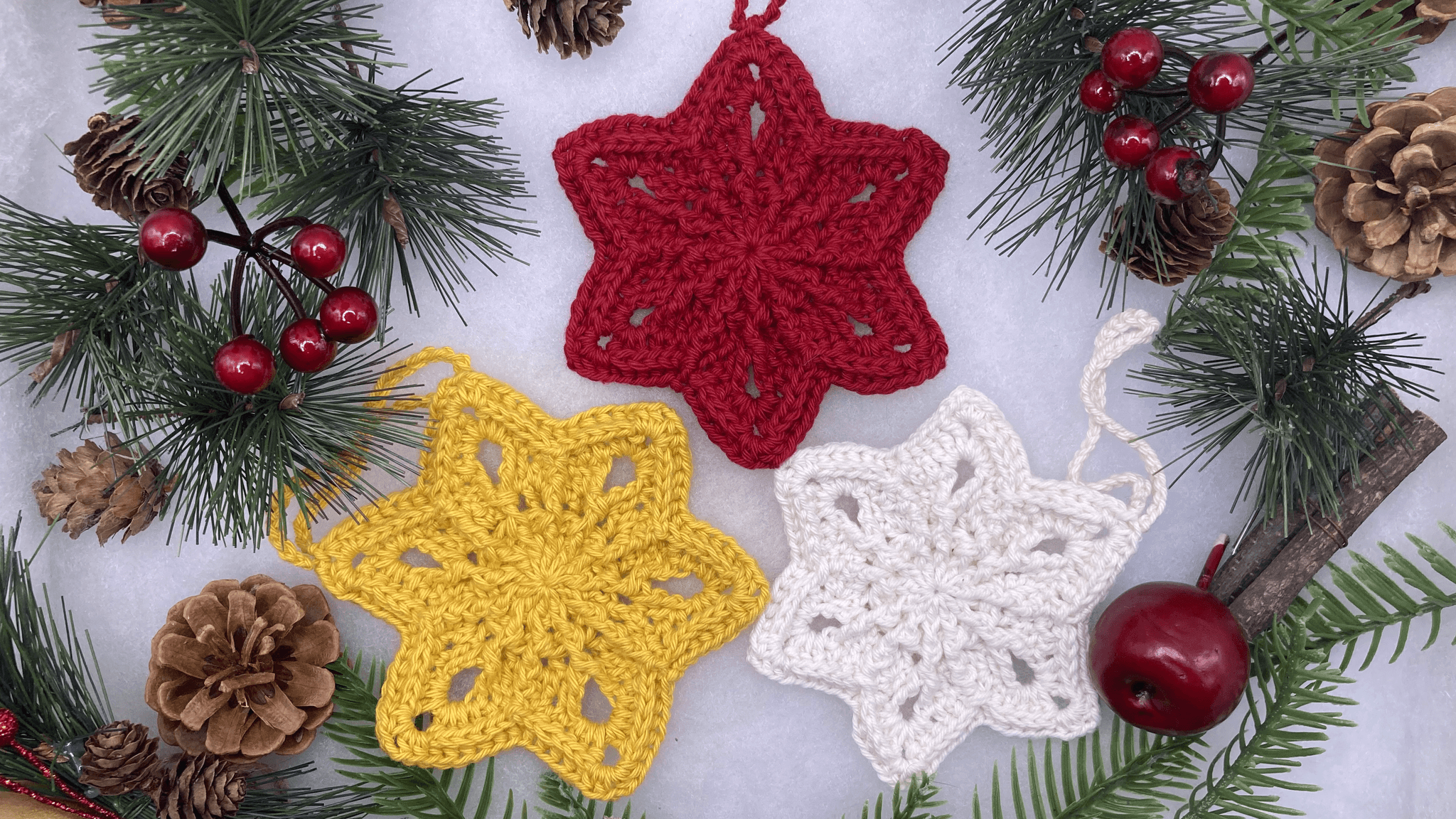 **Noël** Les grandes étoiles de Noël