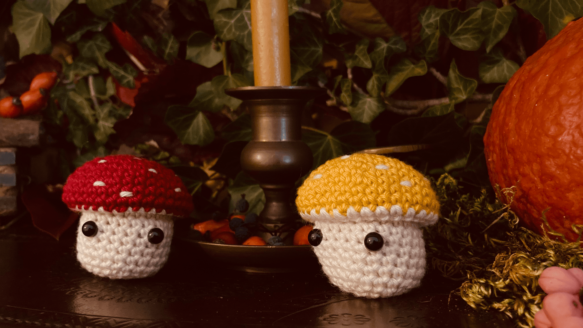 Les champignons POP !